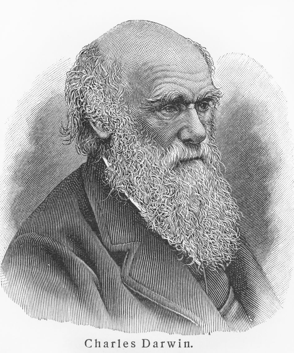 Portret de epocă al naturalistului Charles Darwin.