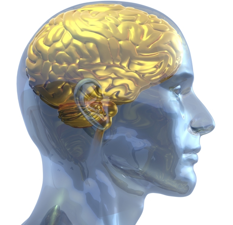 FOTO: Publimedia/Shutterstock