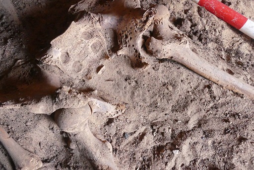 FOTO: biblicalarchaeology.org/Ministry of Antiquities.