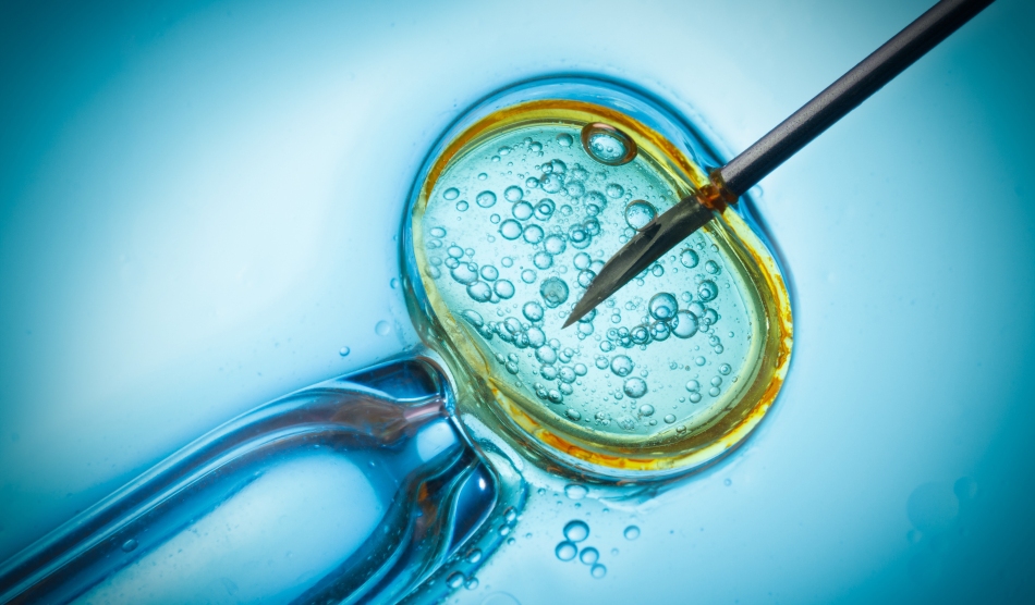 FOTO: Publimedia/Shutterstock