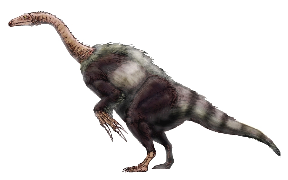 Dinozaurii cu coase -  o familie aparte 