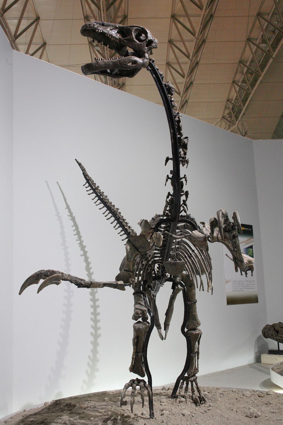 Dinozaurii cu coase -  o familie aparte 