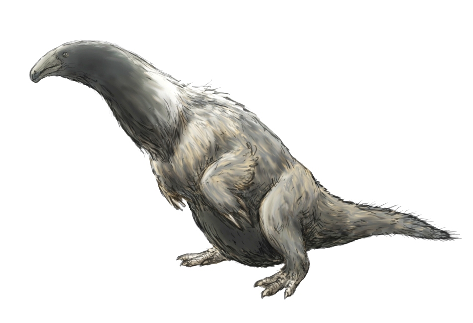 Dinozaurii cu coase -  o familie aparte 