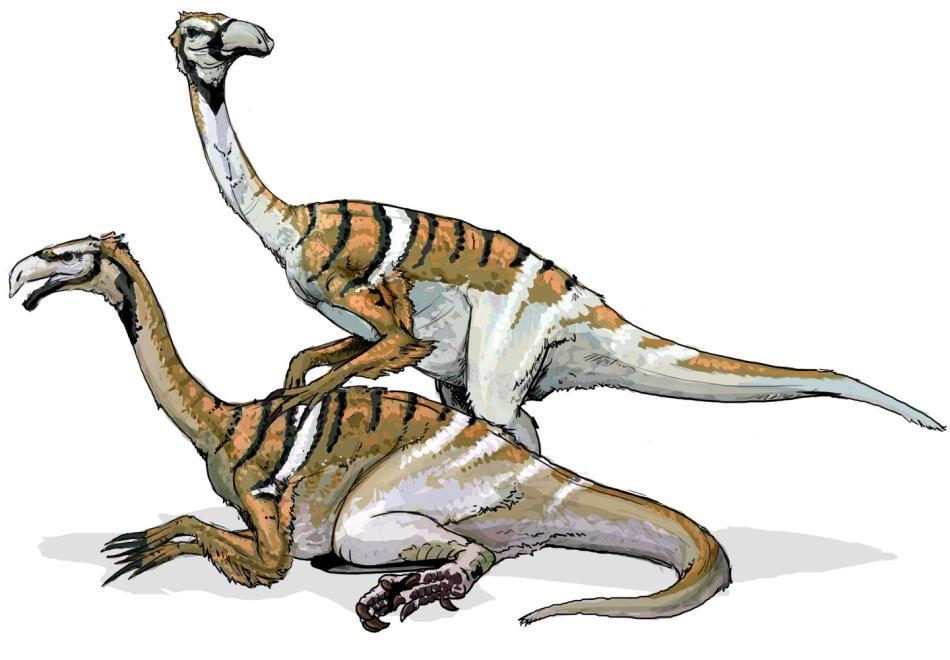 Dinozaurii cu coase -  o familie aparte 