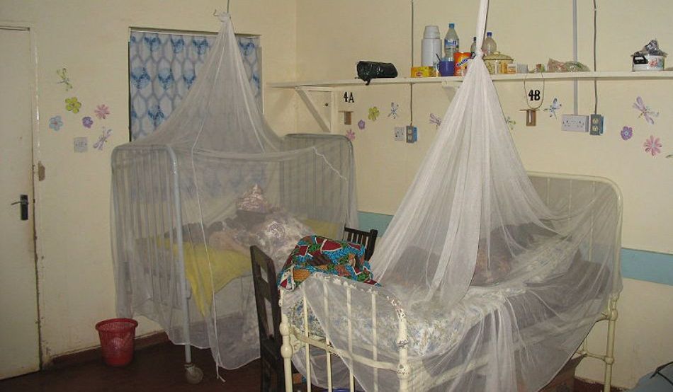 plasa contra tantarilor