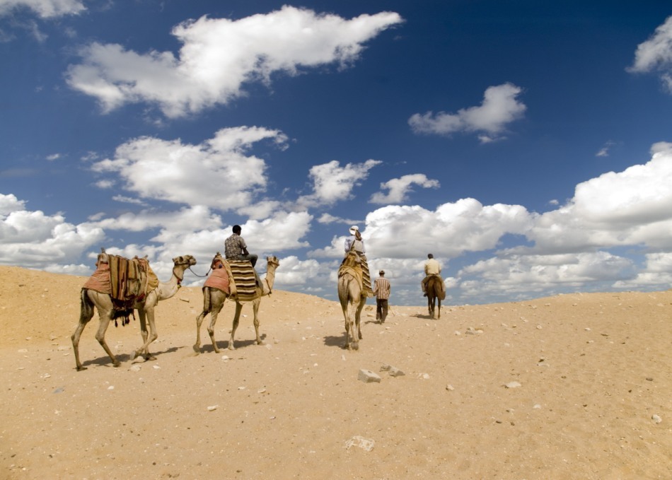 desertul este un mediu extrem pentru supravietuire