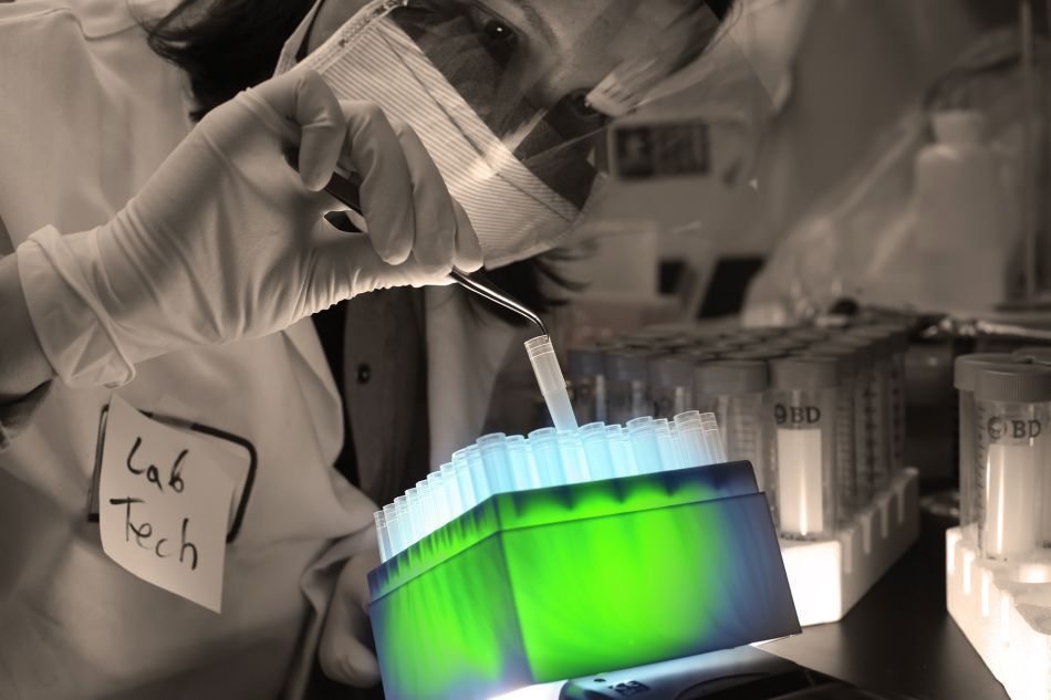 Genetica, peştele şi ardelenii