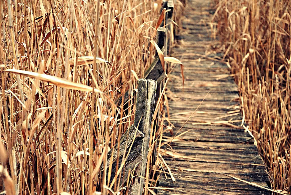 Stufărişurile de la Sic, judeţul Cluj