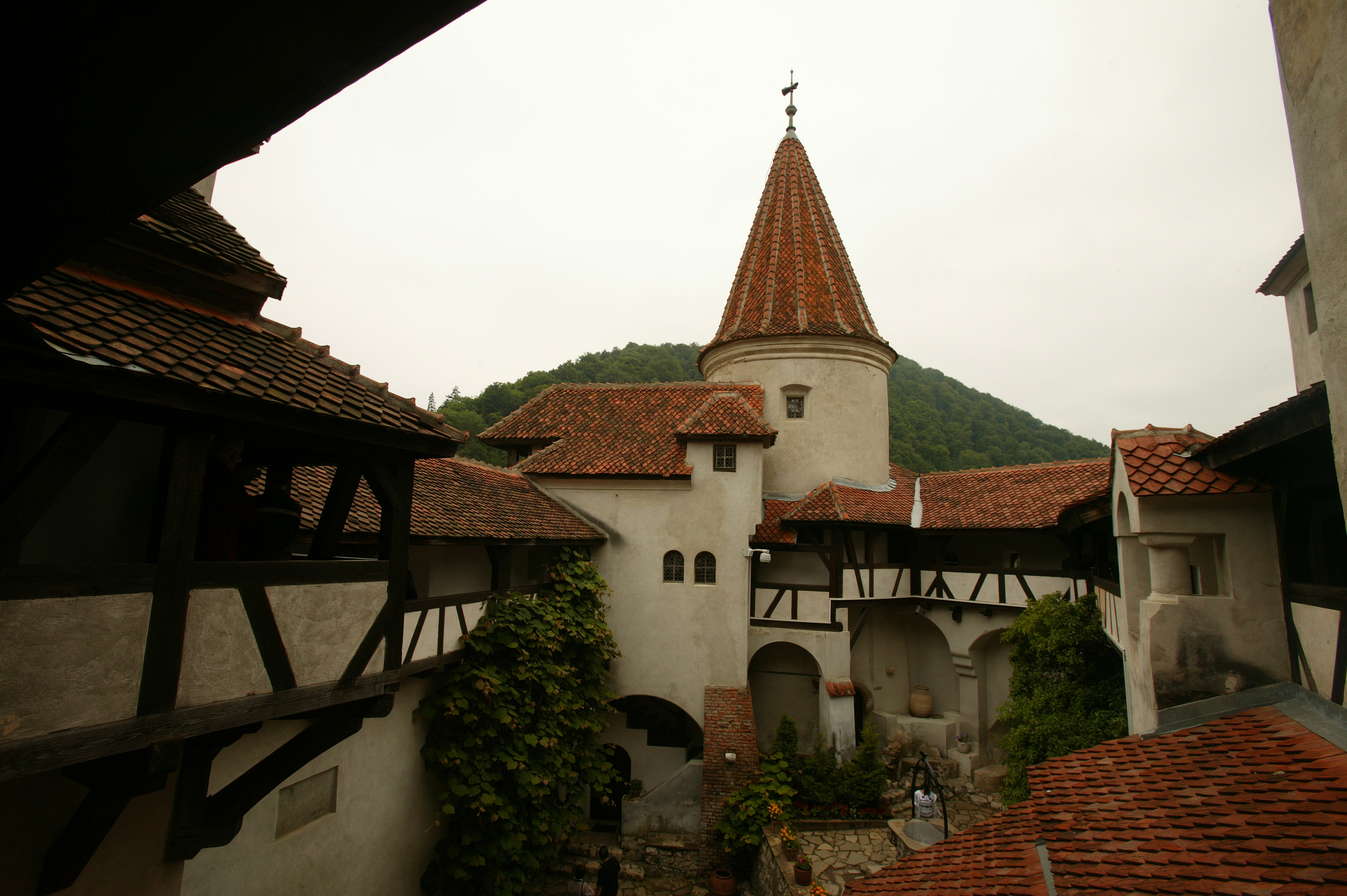 FOTO: Publimedia/Adrian Stoicoviciu