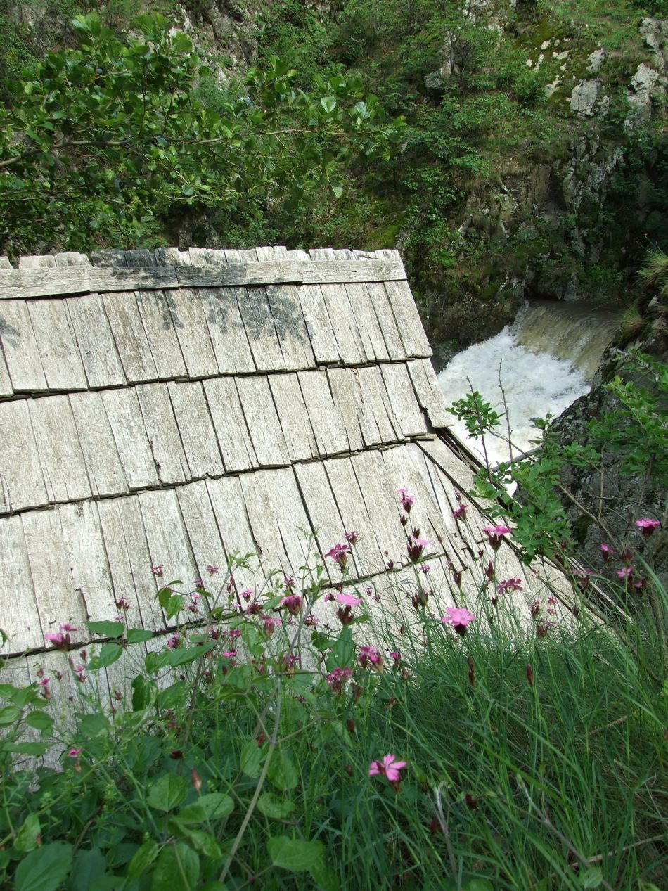 Morile de apă de la Rudăria