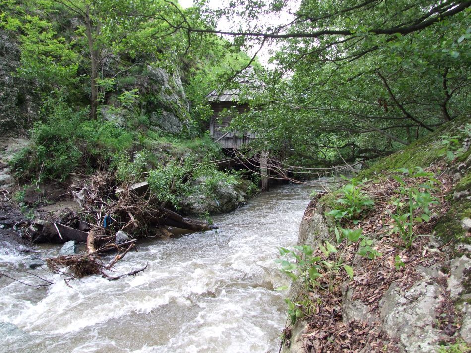 Morile de apă de la Rudăria