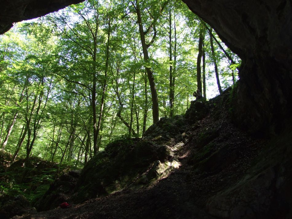  Rezervaţia Cheile Nerei-Beuşniţa şi frumuseţea ei sălbatică