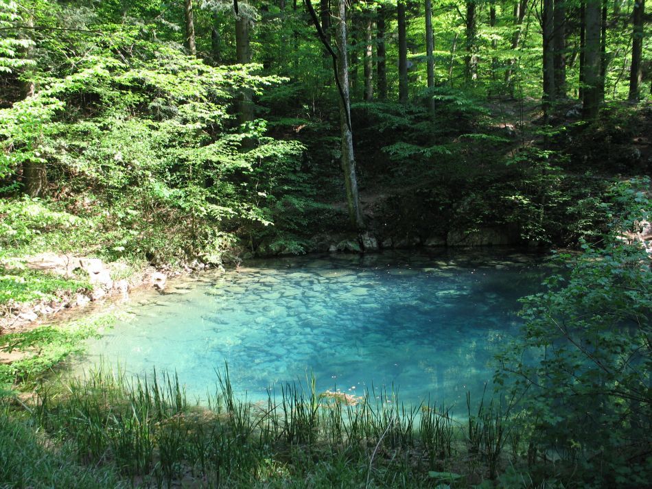  Rezervaţia Cheile Nerei-Beuşniţa şi frumuseţea ei sălbatică