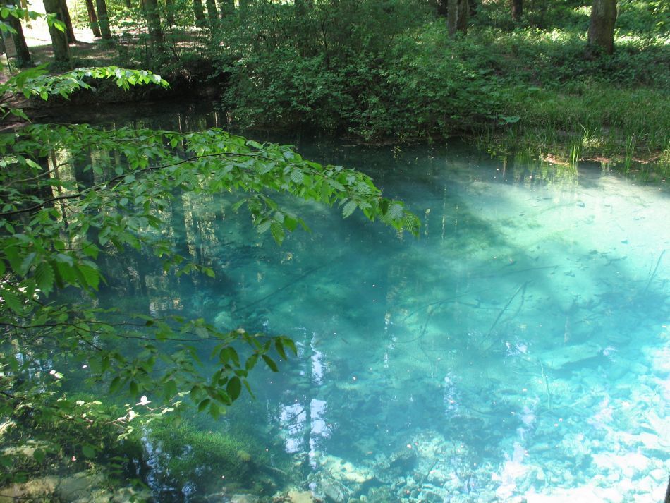  Rezervaţia Cheile Nerei-Beuşniţa şi frumuseţea ei sălbatică