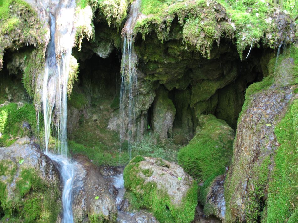  Rezervaţia Cheile Nerei-Beuşniţa şi frumuseţea ei sălbatică