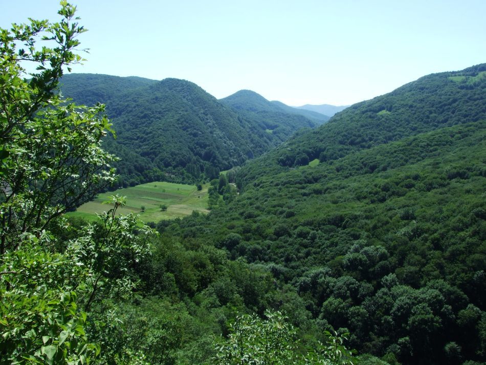  Rezervaţia Cheile Nerei-Beuşniţa şi frumuseţea ei sălbatică