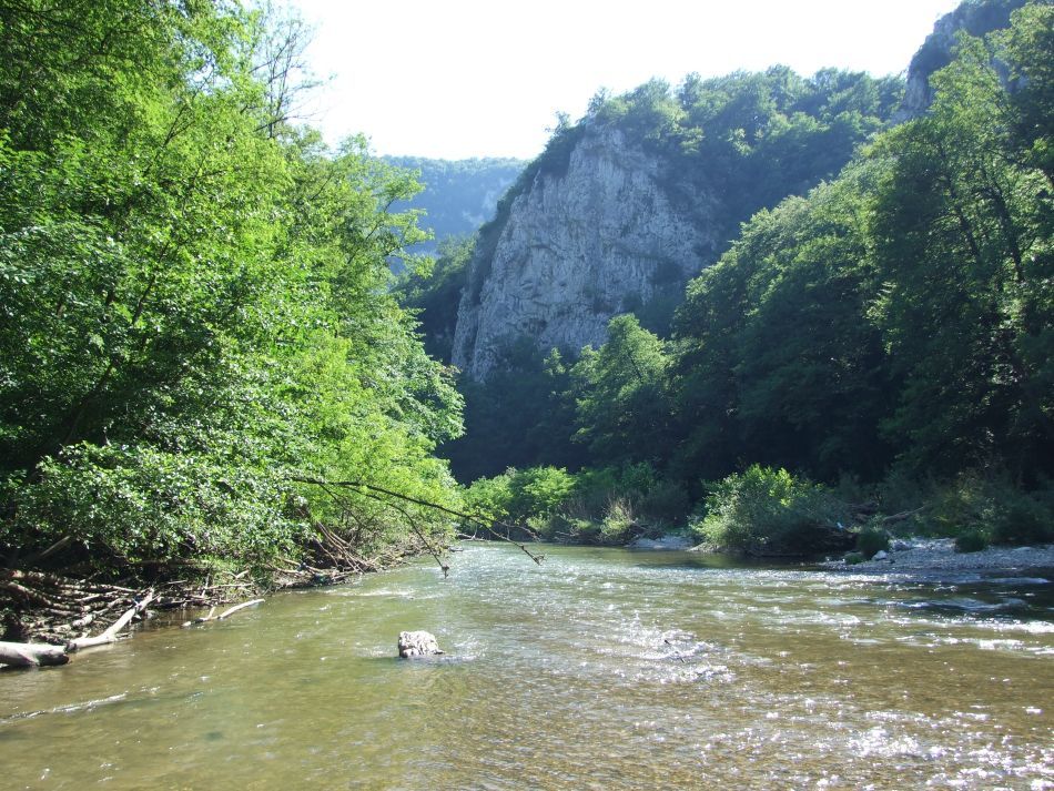 Rezervaţia Cheile Nerei-Beuşniţa şi frumuseţea ei sălbatică