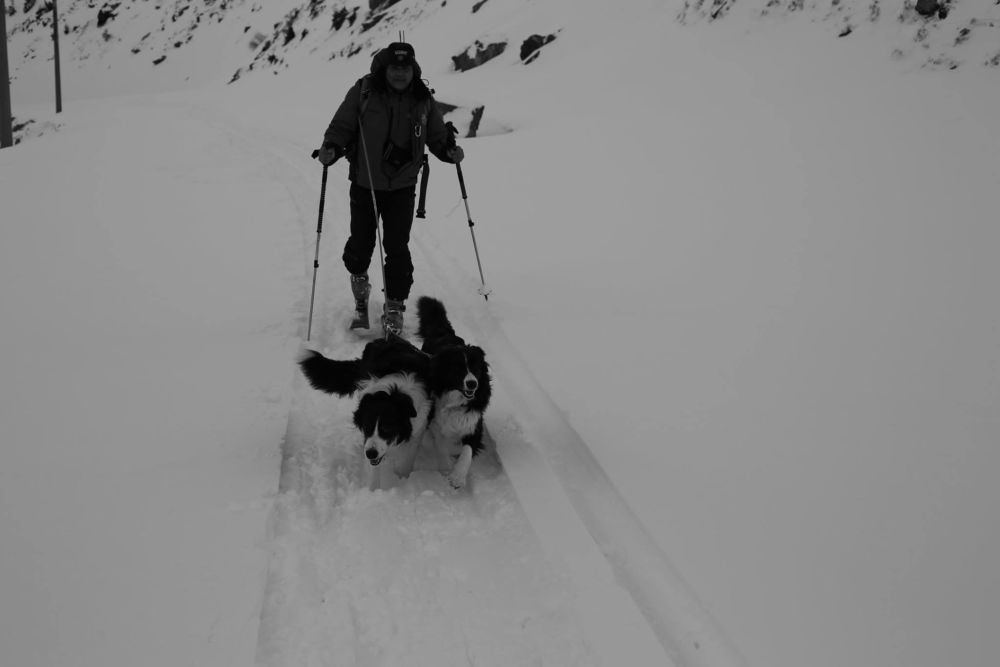 Salvamont România are şase echipaje canine de intervenţie acreditate