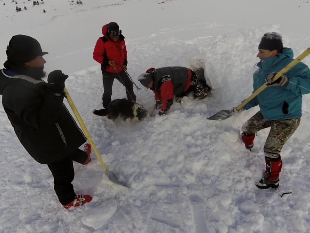 Salvamont România are şase echipaje canine de intervenţie acreditate