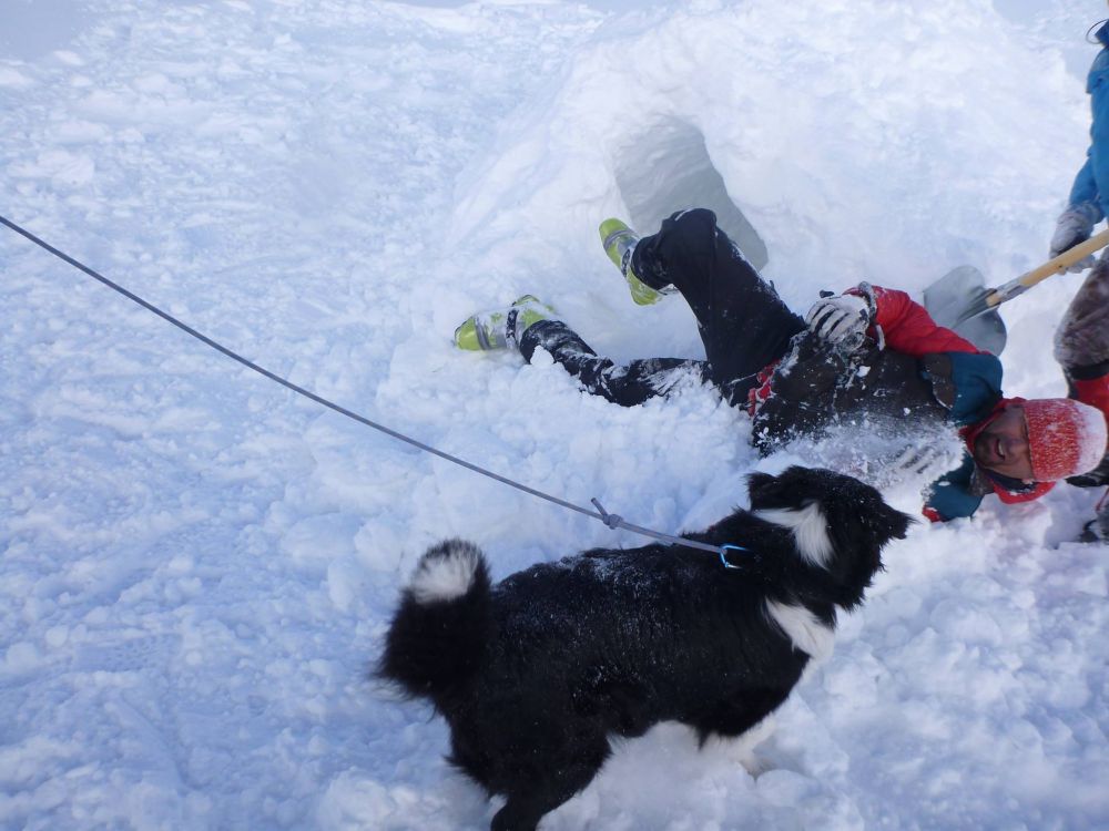 Salvamont România are şase echipaje canine de intervenţie acreditate