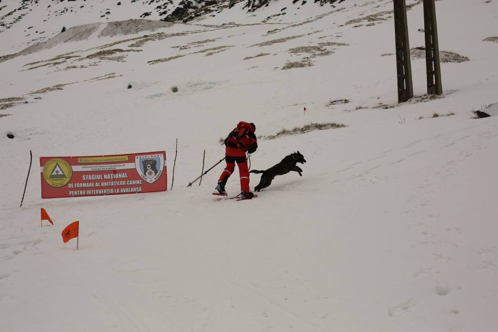 Salvamont România are şase echipaje canine de intervenţie acreditate