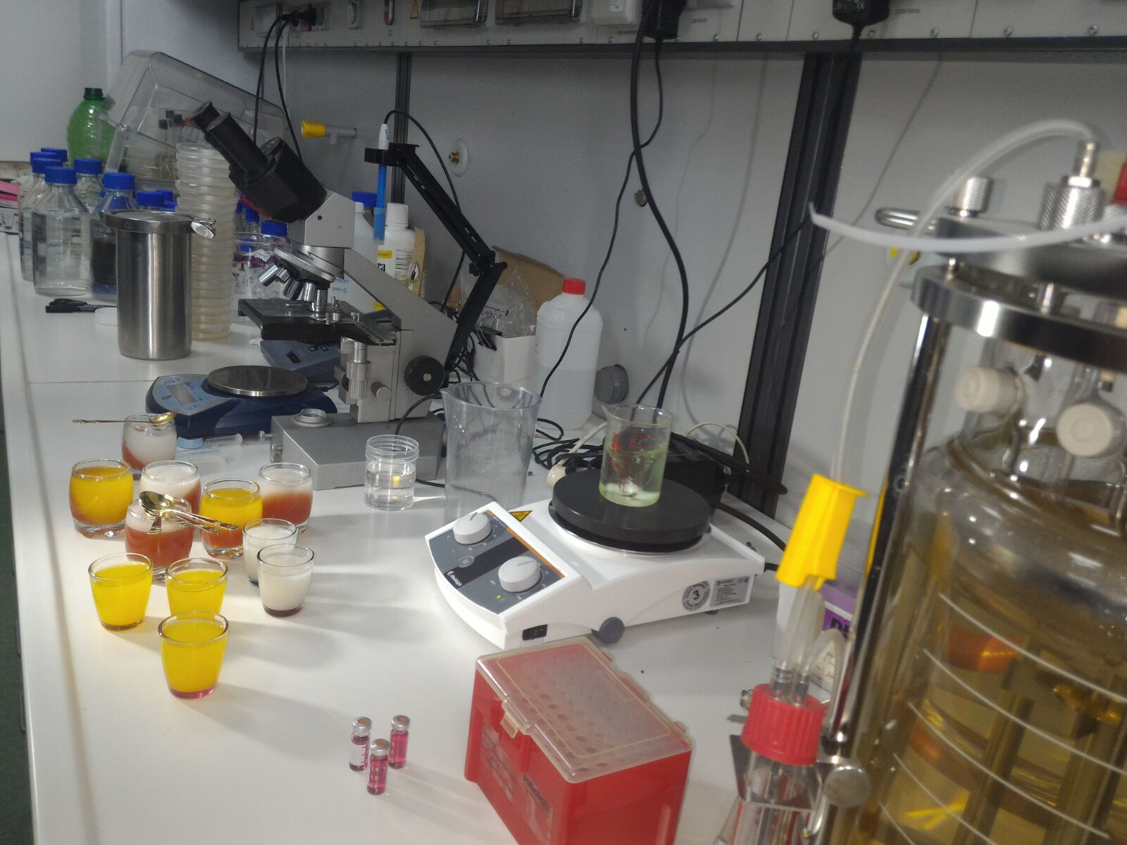 Golden Jelly, jeleul cu nanoparticule de aur inventat de cercetători de la Universitatea de Ştiinţe Agricole şi Medicină Veterinară (USAMV) Cluj-Napoca