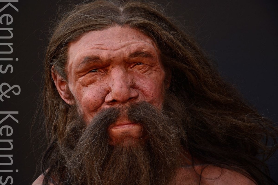 Omul Altamura este primul reprezentant hominid arhaic