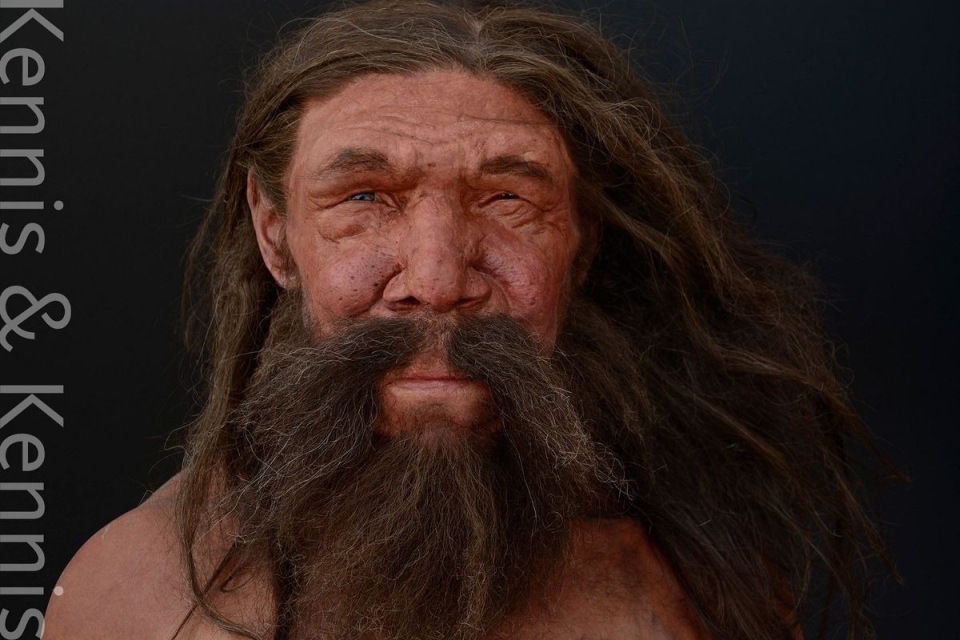 Omul Altamura este primul reprezentant hominid arhaic