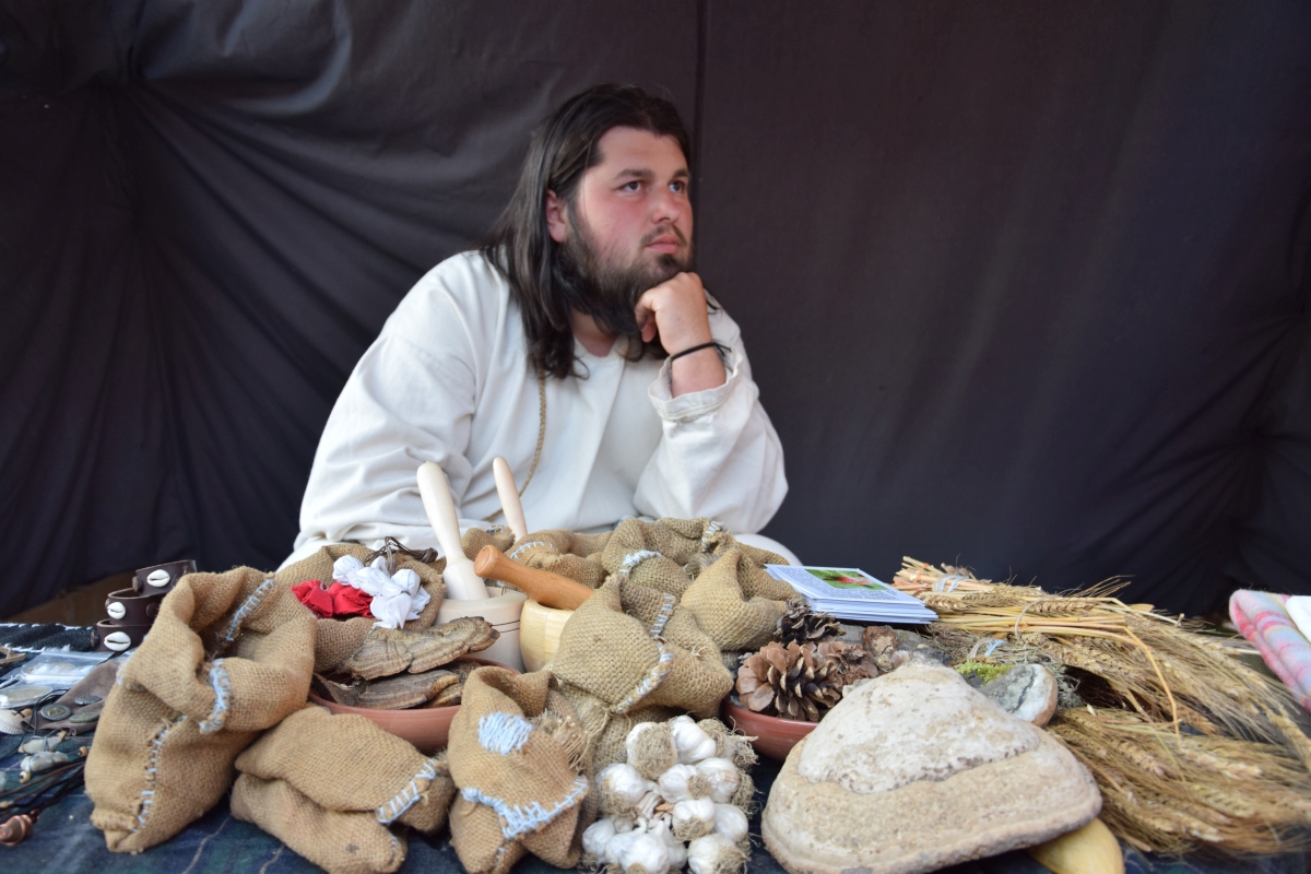 Paradă cu zeci de personaje istorice la Noaptea Muzeelor, la Alba Iulia / Foto: Mediafax