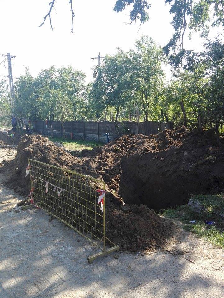 Anchetă în comuna naistului Gheorghe Zamfir după ce rădăcinile arborilor seculari au fost retezate