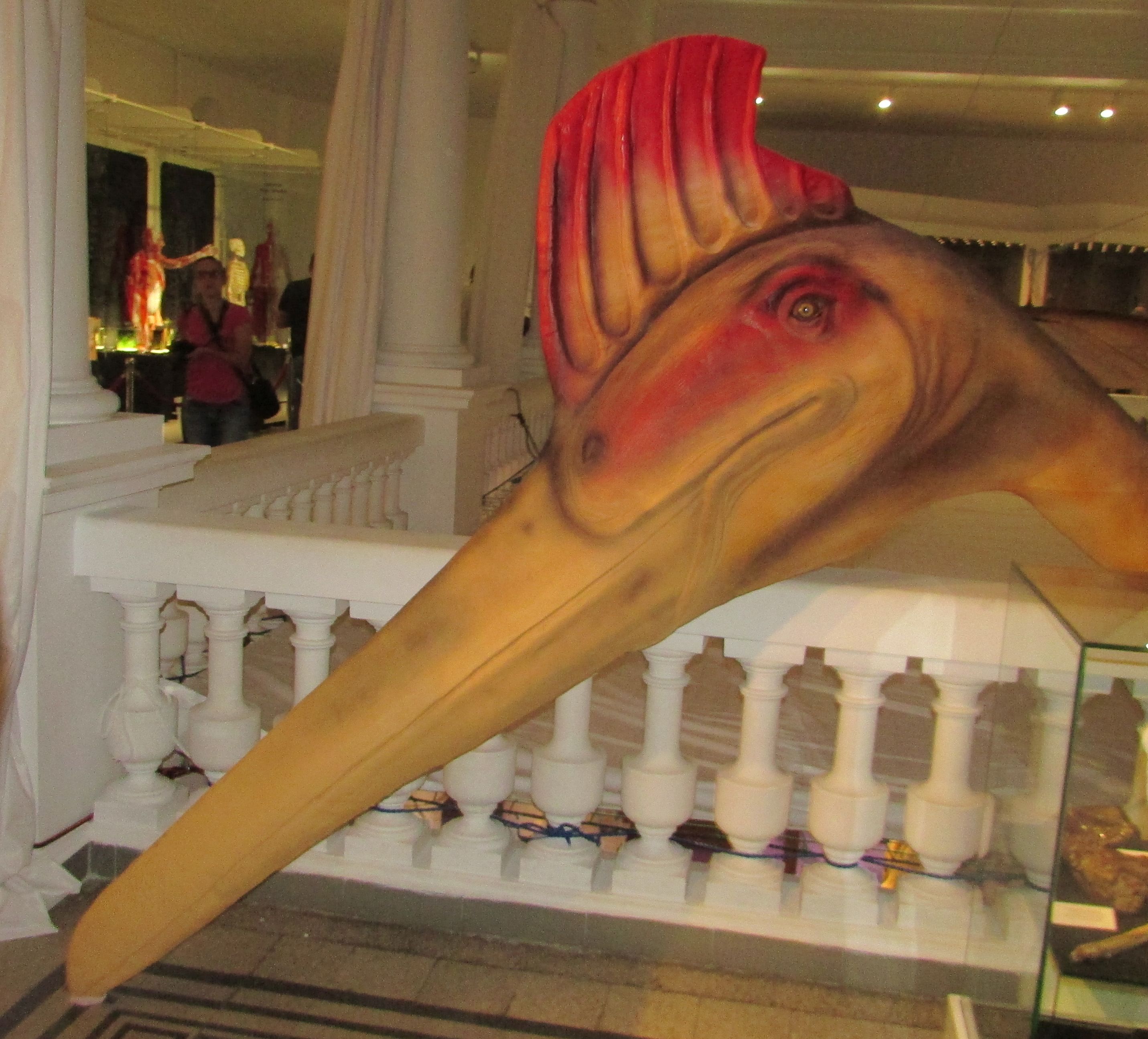 Hatzegopteryx, marele prădător din Ţara Haţegului este expus la Muzeul ,,Grigore Antipa''