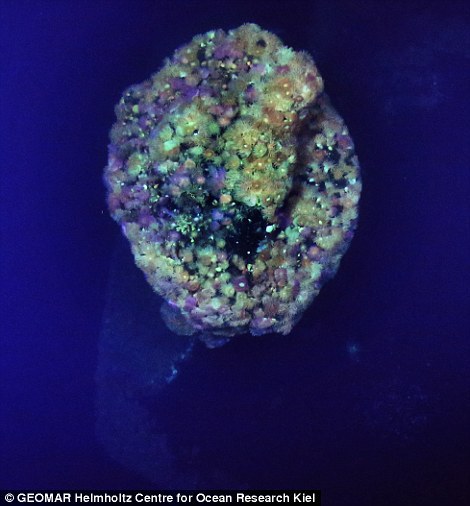 Imaginile SPECTACULOASE cu vulcanii subacvatici