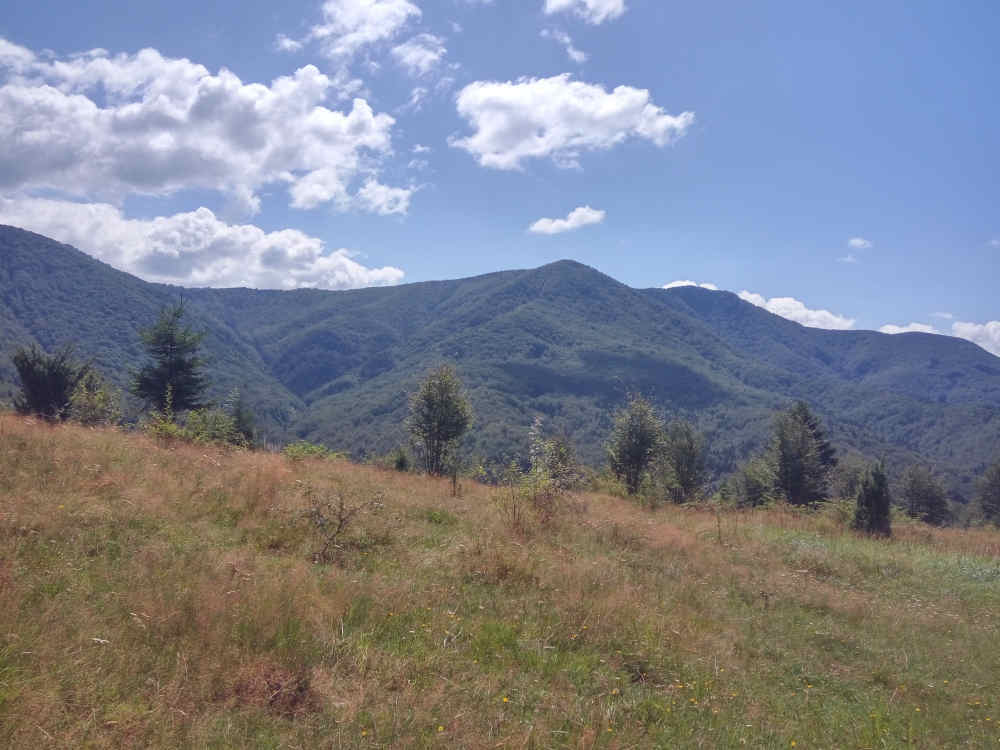 Măgura Zimbrilor, centrul de vizitare şi staţia de cercetare