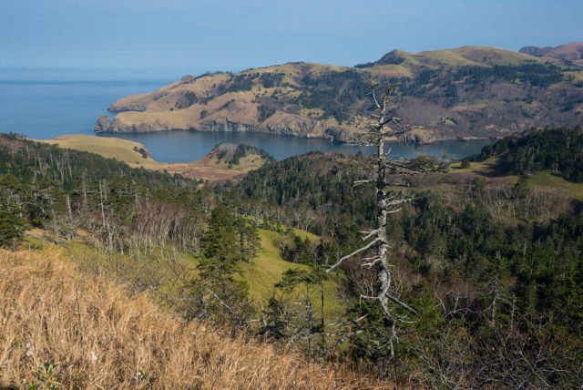 Imaginile spectaculoase care dezvăluie urmările războiului dintre Japonia şi URSS