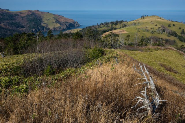 Imaginile spectaculoase care dezvăluie urmările războiului dintre Japonia şi URSS