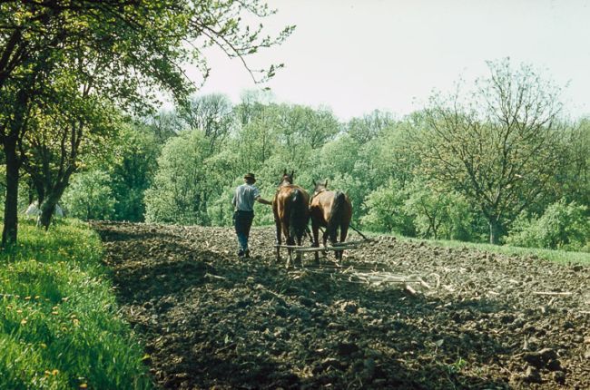 Singurul sat din România construit în formă circulară 