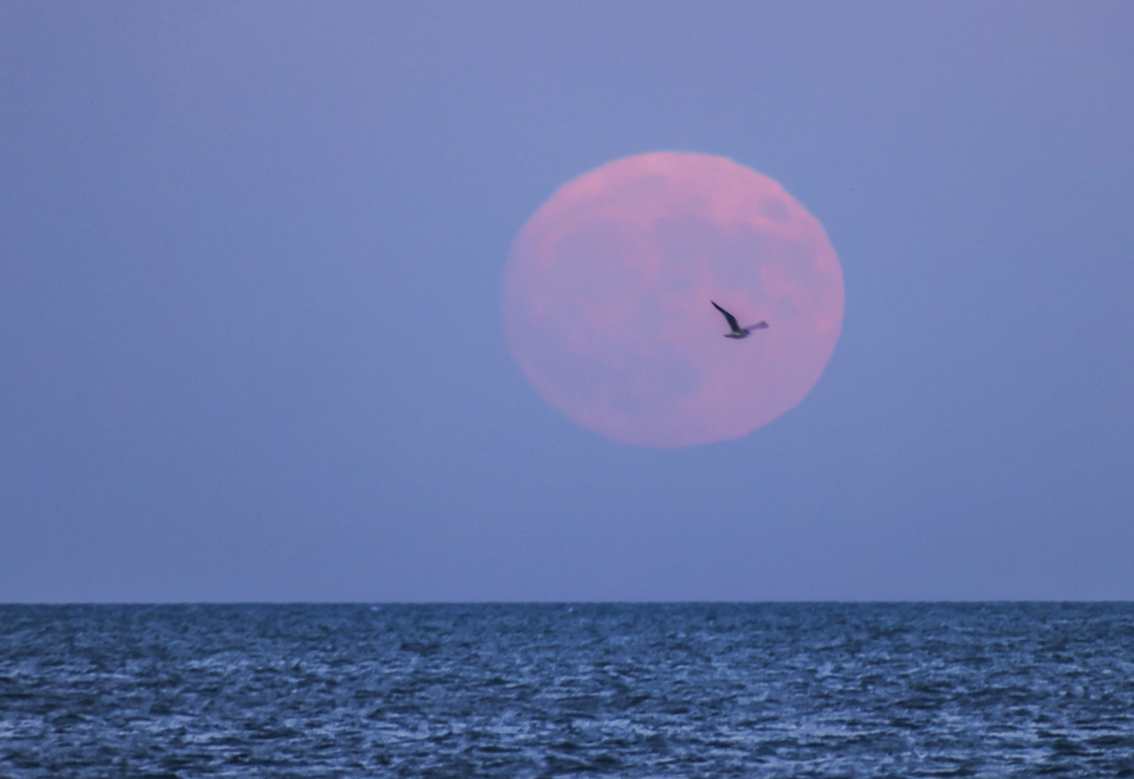 Super Luna surprinsă în imagini din întreaga lume