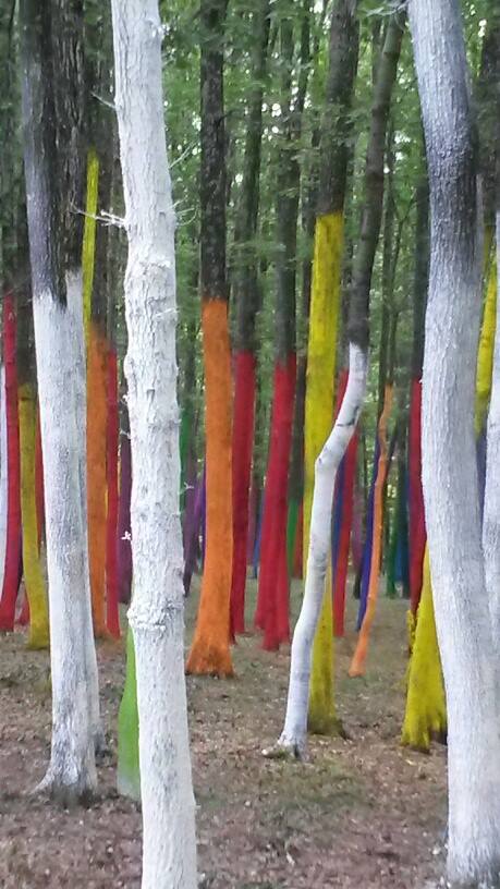 Manifest artistic împotriva defrişării pădurilor