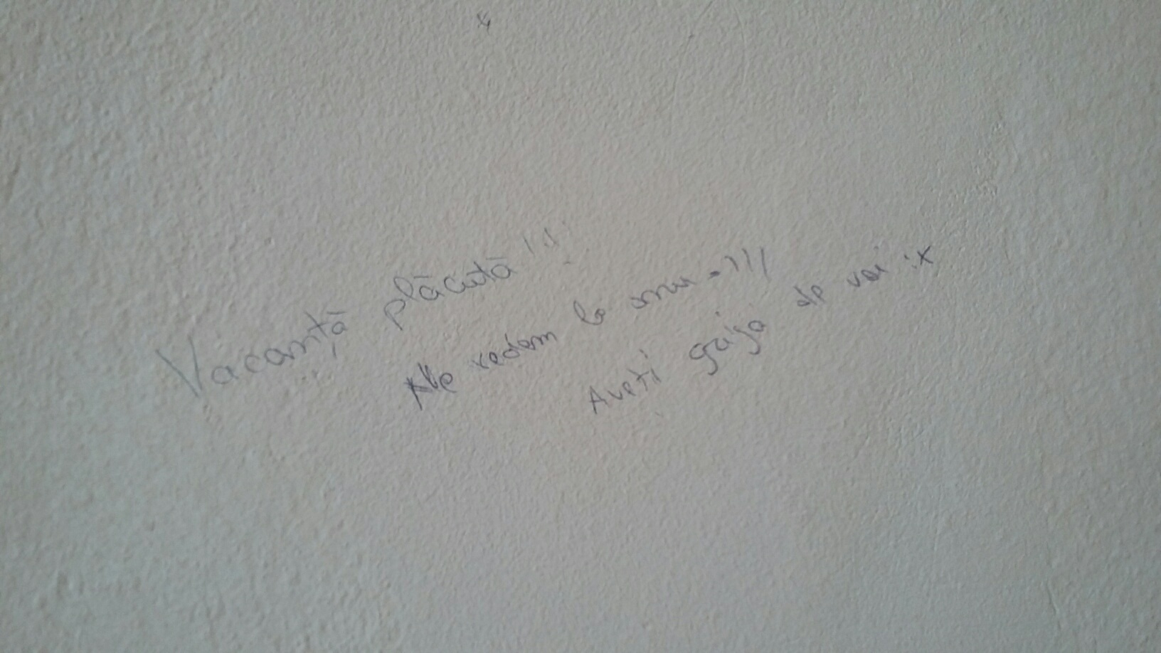 Studenţii din Galaţi au umplut cu desene şi mesaje pereţii căminelor din campusul universitar