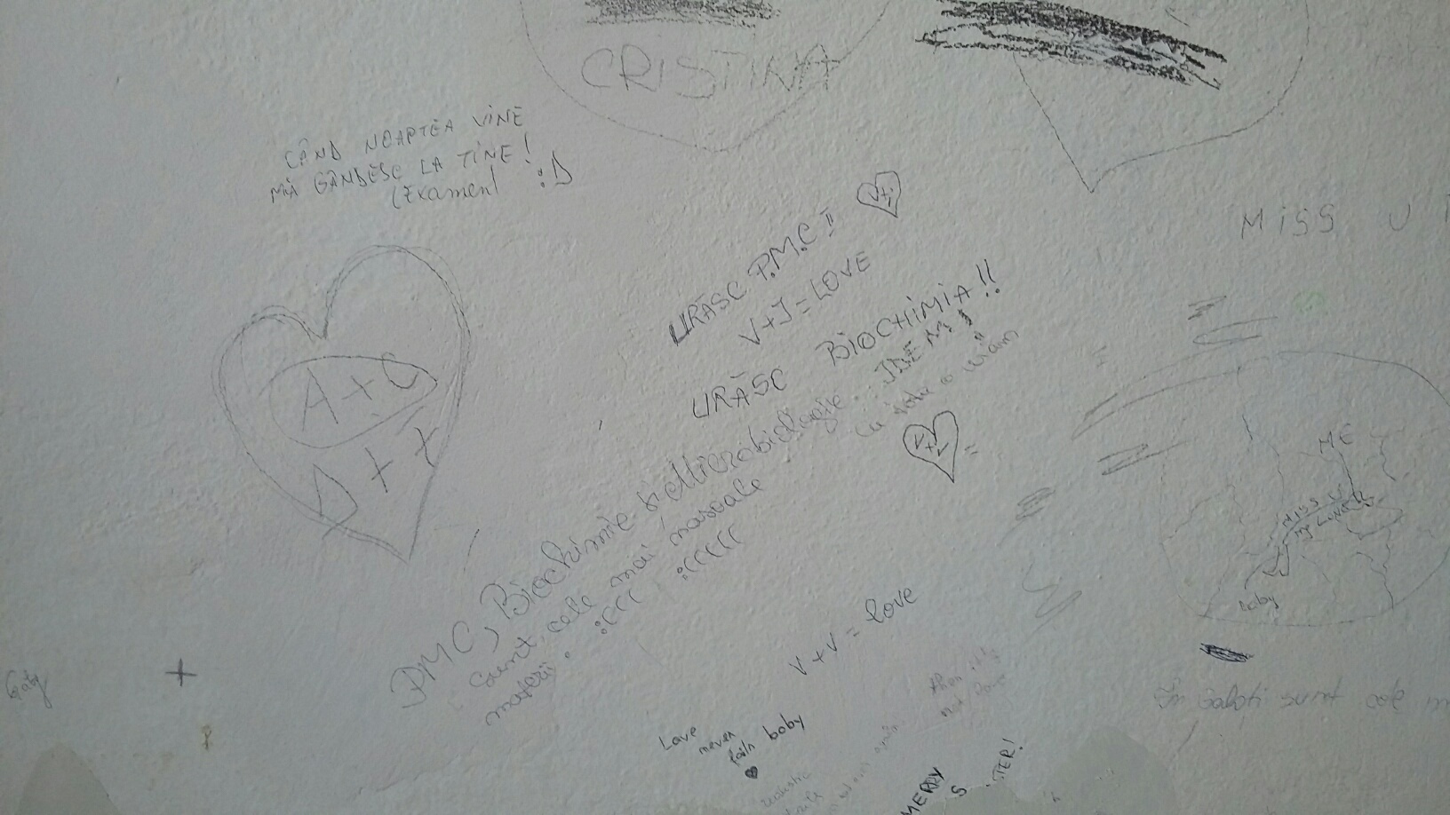 Studenţii din Galaţi au umplut cu desene şi mesaje pereţii căminelor din campusul universitar