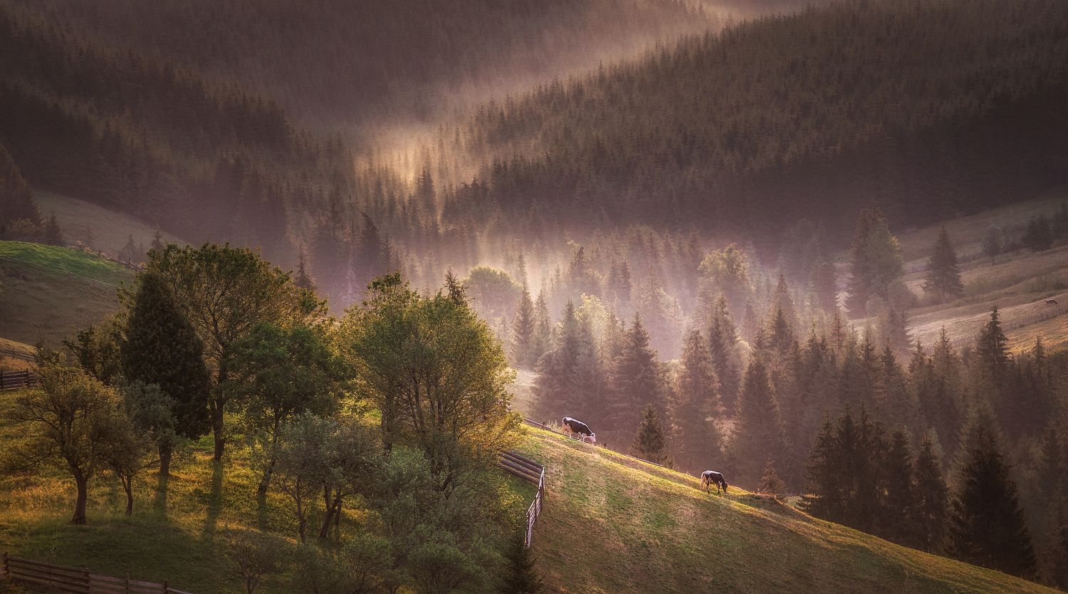Frumuseţile Bucovinei / Foto: Cătălin Urdoi