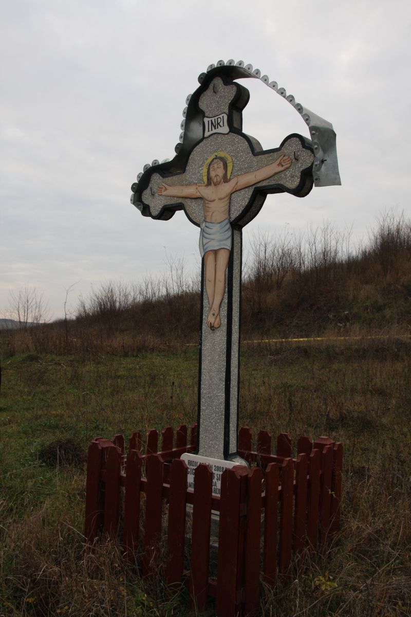 Cardinalul Iuliu Hossu care a citit Proclamaţia de la Alba Iulia, UITAT în localitatea natală