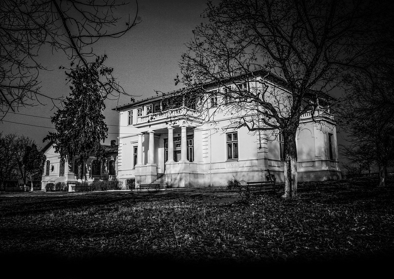 Un grafician din Craiova a luat Oltenia la pas pentru a fotografia clădiri vechi