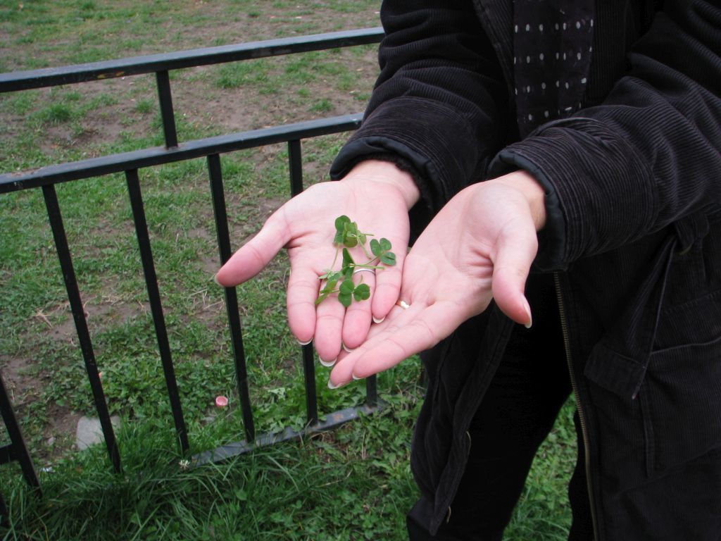 Cea mai norocoasă tânără din România. Cu o pasiune ieşită din comun, Andreea Reman a strâns 80.000 de trifoi cu patru, cinci şi chiar nouă foi