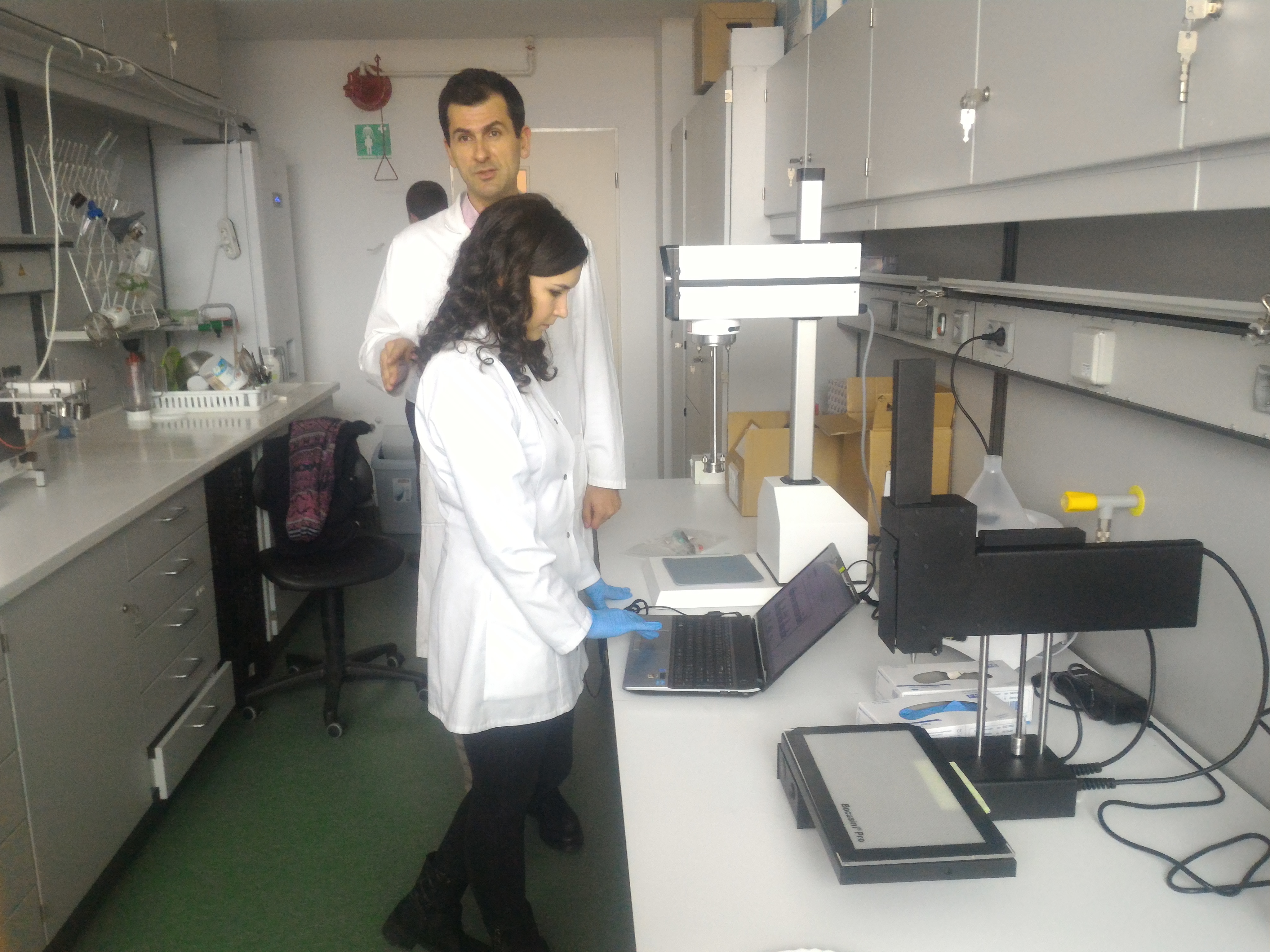 Căsuţe şi maşini din ciocolată şi marţipan cu bacterii probiotice pentru copii