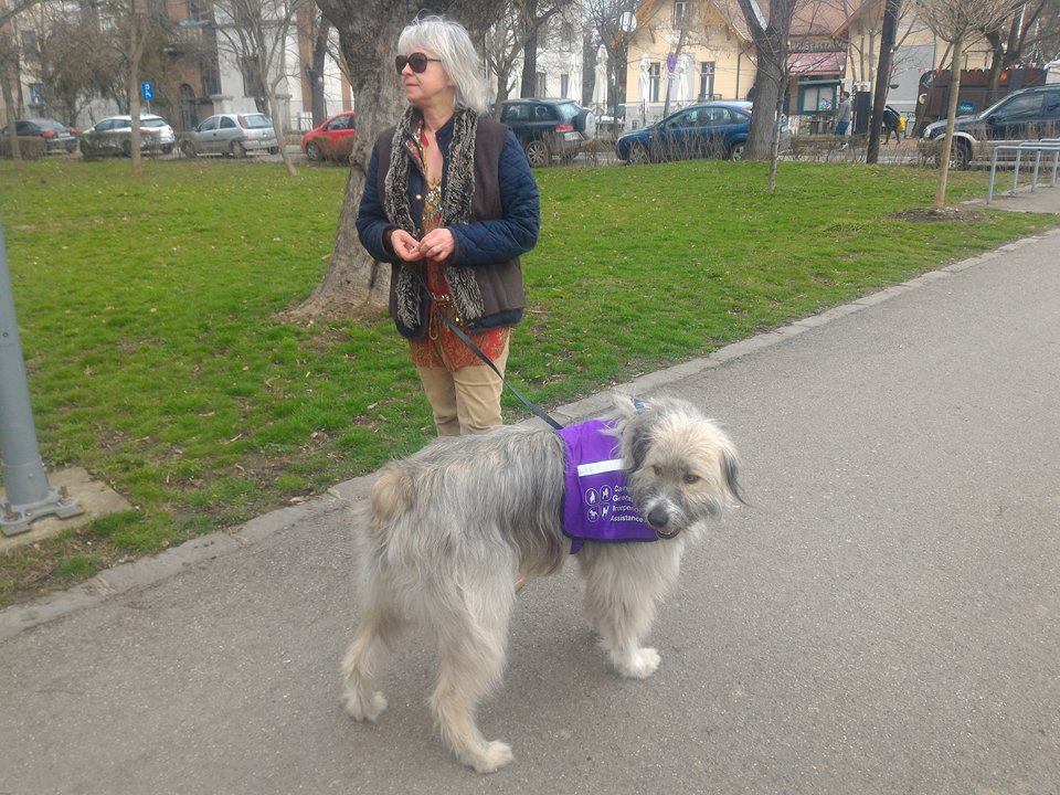 Câinele care a devenit ajutorul unei femei cu autism
