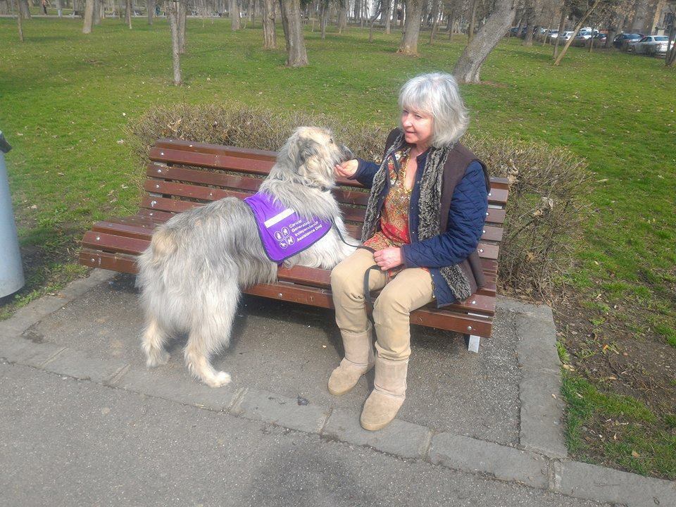 Câinele care a devenit ajutorul unei femei cu autism