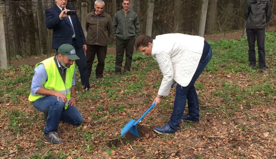 Principesa Maria a plantat mai mulţi arbori în Vulpărie, pe domeniul Regal Sinaia