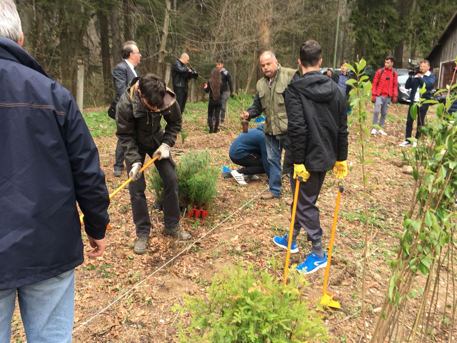 Principesa Maria a plantat mai mulţi arbori în Vulpărie, pe domeniul Regal Sinaia