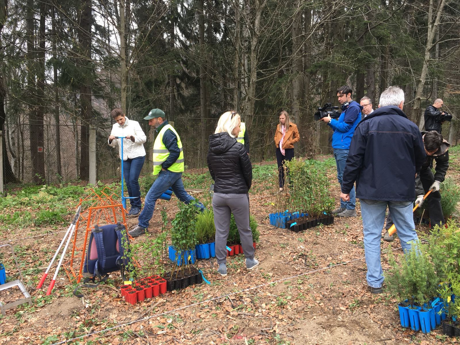 Principesa Maria a plantat mai mulţi arbori în Vulpărie, pe domeniul Regal Sinaia